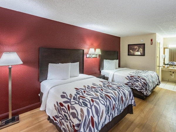 Red Roof Inn Orlando South - Florida Mall image 18